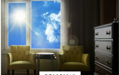 Why Energy-Efficient Windows Are the Way to Go