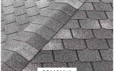Asphalt Shingle Misconceptions and The Truth Behind Them